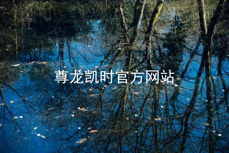 尊龙凯时官方网站