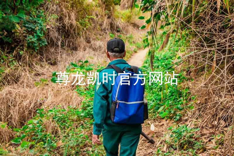 尊龙凯时官方网站
